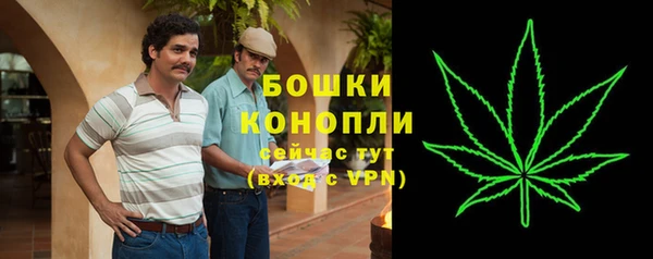 гидра Переславль-Залесский