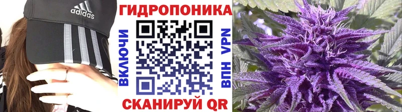 закладки  Бронницы  Бошки Шишки OG Kush 
